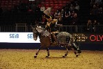 Quadrille - 00717